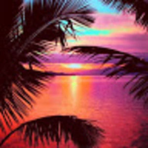 Meet your Posher, Naomi